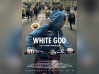 White God : critique et bande-annonce 