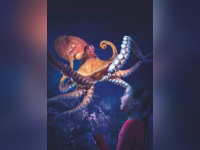 Pouples Fiction, la nouvelle exposition de Sea Life