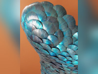 Brillance et transparence à la nouvelle galerie French Arts Factory