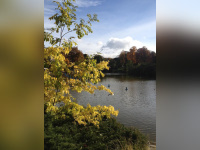 La COP21 s'invite au parc Montsouris 