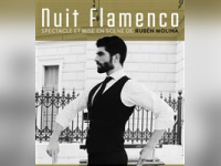 Nuit Flamenco au théâtre du Marais
