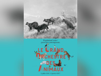 Le Grand Orchestre des animaux, l'expo à la Fondation Cartier