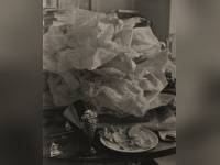 Josef Sudek, l'expo au Jeu de Paume