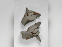 Jean-Luc Moulène, l'exposition au Centre Pompidou