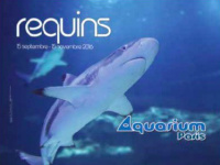 L'histoire des requins, l'expo de l'Aquarium de Paris