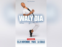 Waly Dia en novembre 2016 à la Cigale