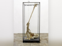 Kiefer Rodin, l'exposition au musée Rodin