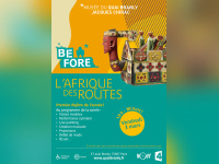 Before Afrique au musée du Quai Branly