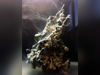 Hicham Berrada, la très belle exposition de l'abbaye de Maubuisson