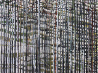 David Solis, l'expo gratuite à la Maison de l'Amérique latine