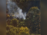 Miguel Rothschild, l'expo gratuite à la Maison de l'Amérique Latine