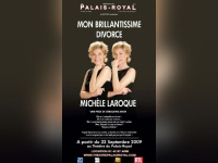 Mon brillantissime divorce