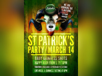 St Patrick’s day 2015 in Paris