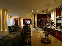 Bar Park Hyatt Paris - Vendôme 