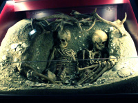 Préhistoire(s), l'enquête