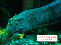 Autour des dinosaures au Palais de la Découverte