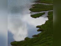 Young Sé Lee à la Galerie Lionelle Courbet