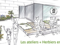 Les ateliers Herbiers en Scène de l’Institut Klorane 
