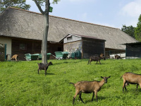 Chasse et dégustation d'insectes à la ferme du Mont-Valérien