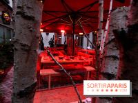 La Terrasse d'hiver du Buddha bar Hotel