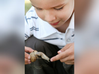 Découverts de la biodiversité au Parc Georges Brassens à Massy