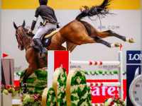 Longines Masters de Paris 2016 au Parc des Expos de Paris Nord Villepinte