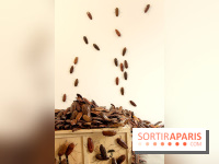 Céramix, l'exposition au Musée de la Céramique et à la Maison Rouge