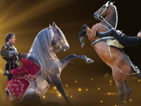 La Nuit du Cheval 2016