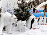 Un Hiver Polaire à One Nation Paris