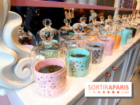 La première boutqiue Thé & Beauté de ladurée à Paris