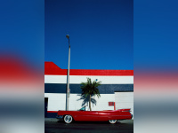 Rencontre avec Jean-Daniel Lorieux à Yellowkorner