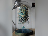 Exposition Take a breath au Passage Guigon