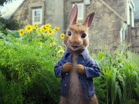 Pierre Lapin débarque au cinéma !