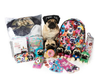 Le chien star Doug the Pug s’invite aux 4 Temps,