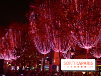 Illuminations de Noël 2025 des Champs-Elysées : un spectacle son et lumière inédit tout au long de la saison