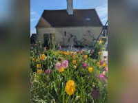 Ce jardin sensoriel s’anime pour les Rendez-Vous aux Jardins 2026 en île-de-France