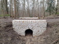 Bois de Chaville