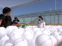 Une piscine à balles sur la Tour Montparnasse