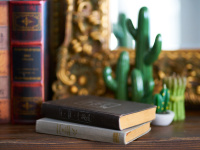 16 œuvres littéraires cultes à (re)lire pendant le confinement