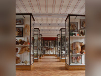 Insolite : Le Musée Fragonard de l'école vétérinaire de Maisons-Alfort