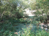 Le Jardin naturel Pierre-Emmanuel à Paris où la nature reprend ses droits
