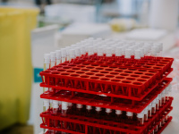 Vaccin Covid : la France devrait donner 500 000 doses d'AstraZeneca à des pays d'Afrique d'ici juin