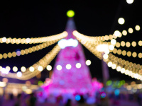 Nature Illuminée, un nouveau festival des lumières débarque prochainement à Paris