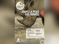 Rendez-vous sauvage au zoo de Vincennes : dans la peau des rhinos