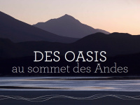 Expo photo : "des Oasis au sommet des Andes" au jardin Villemin