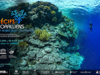 "Récifs coralliens : un enjeux pour l'humanité" : l'expo photo au siège de l'Unesco