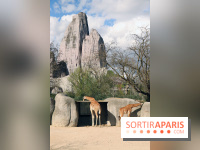 Zoo de Vincennes, Parc Zoologique de Paris 2017