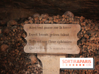 Les Catacombes de Paris