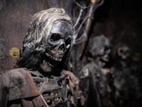 La Crypte : l'escape game qui fait tourner les tables au Donjon de Paris