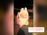 Une exposition autour des Labubu à Paris